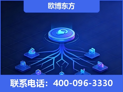 罗定-全链豆包优化